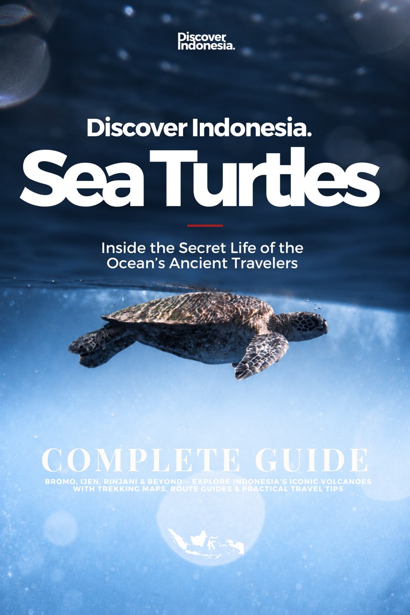 Discover Indonesia: Sea Turtles, book cover