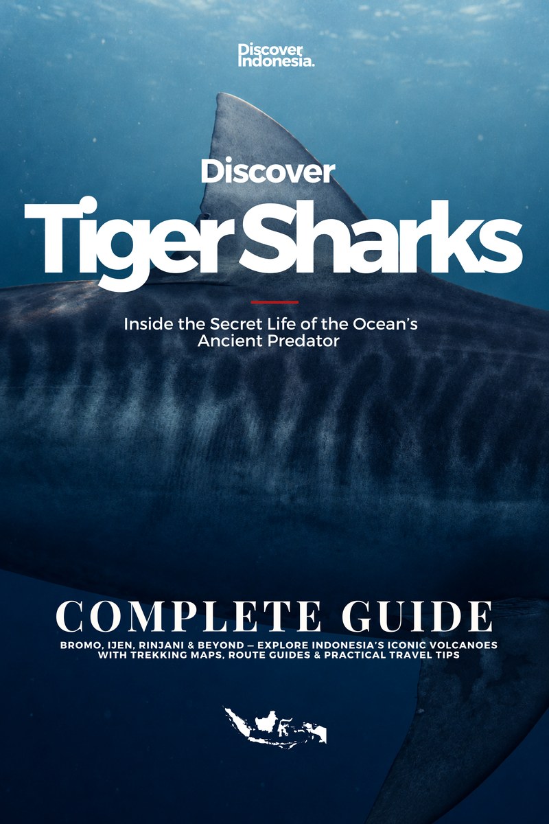 Discover Indonesia: Tiger Sharks, book cover