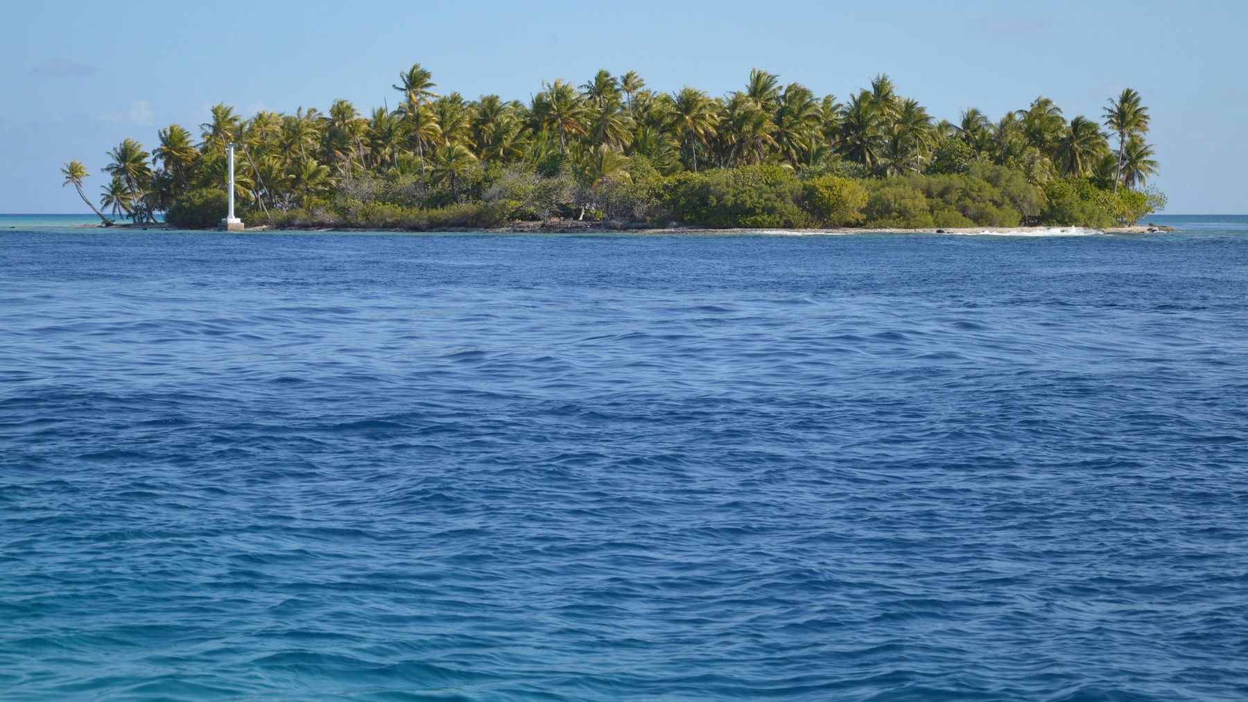 A small wooded island with a reef edge: from the boat, the drop-off often begins just metres from the shore.