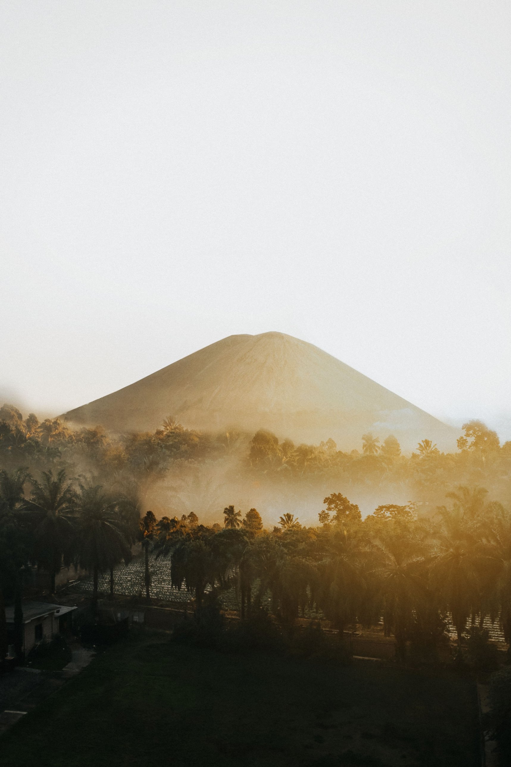 Volcanic peaks rising above the mist